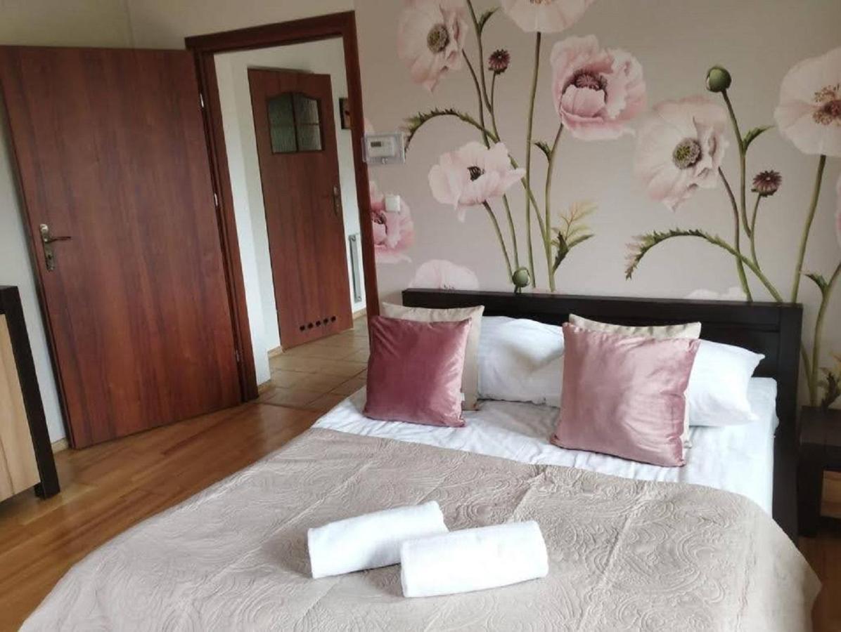 Apartament Na Antalowce زاكوباني المظهر الخارجي الصورة